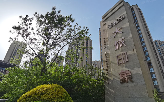 碧桂园大城印象